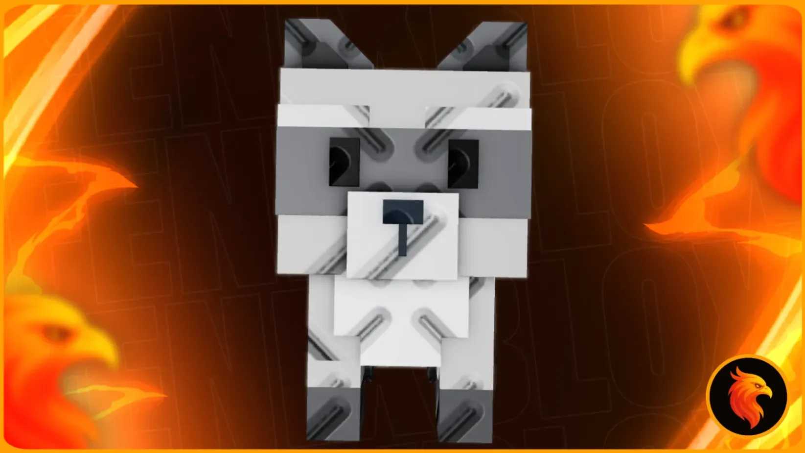 RACCOON